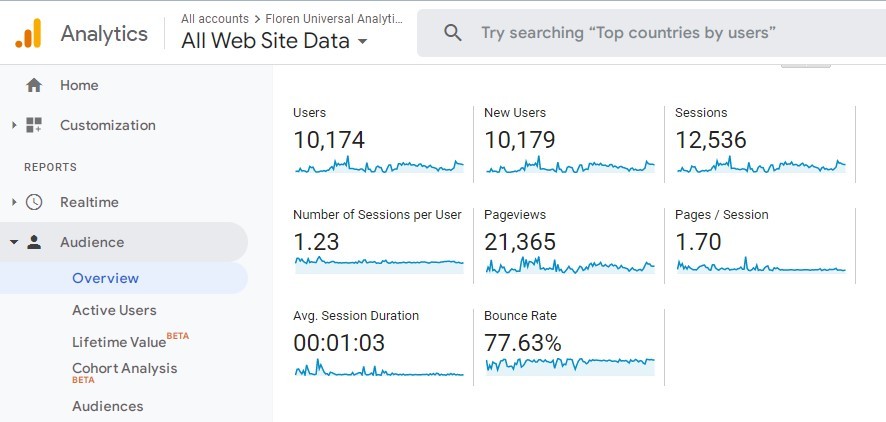 Florencare Google Analytics Overview Image